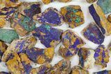 Lot: Azurite & Malachite Clusters - Pieces #137908-1